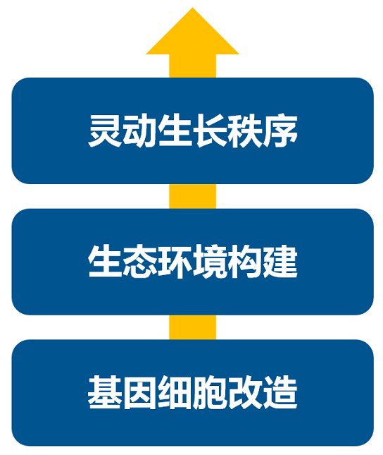 消費(fèi)升級大時代，品牌如何進(jìn)行戰(zhàn)略升級？