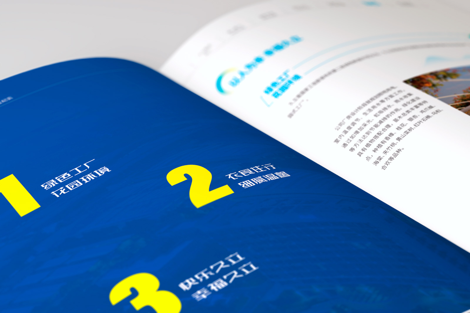 宣傳畫冊設(shè)計(jì)需要堅(jiān)持的理念