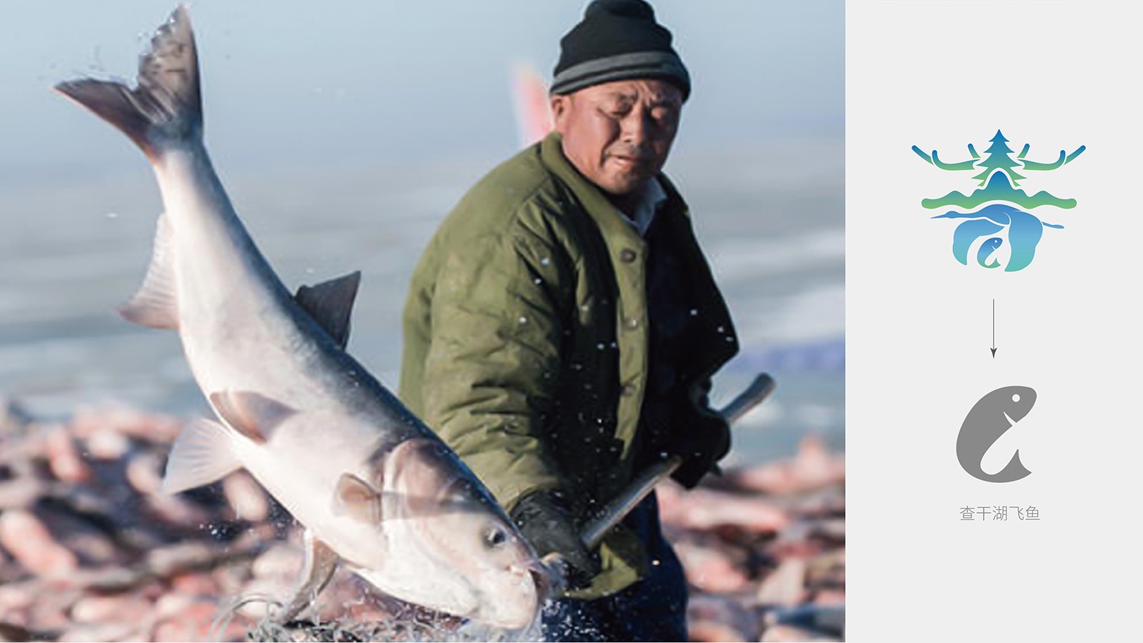 vi設計杭州有多少家設計公司？