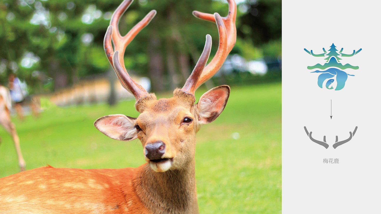 1626848345159993.jpg 1601955587242503.jpg