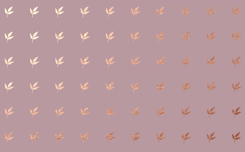 為了博得美人一笑，甜品包裝也是拼了……