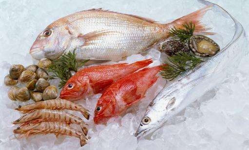 新鮮餐飲食材，冷凍海鮮食品包裝設(shè)計(jì)