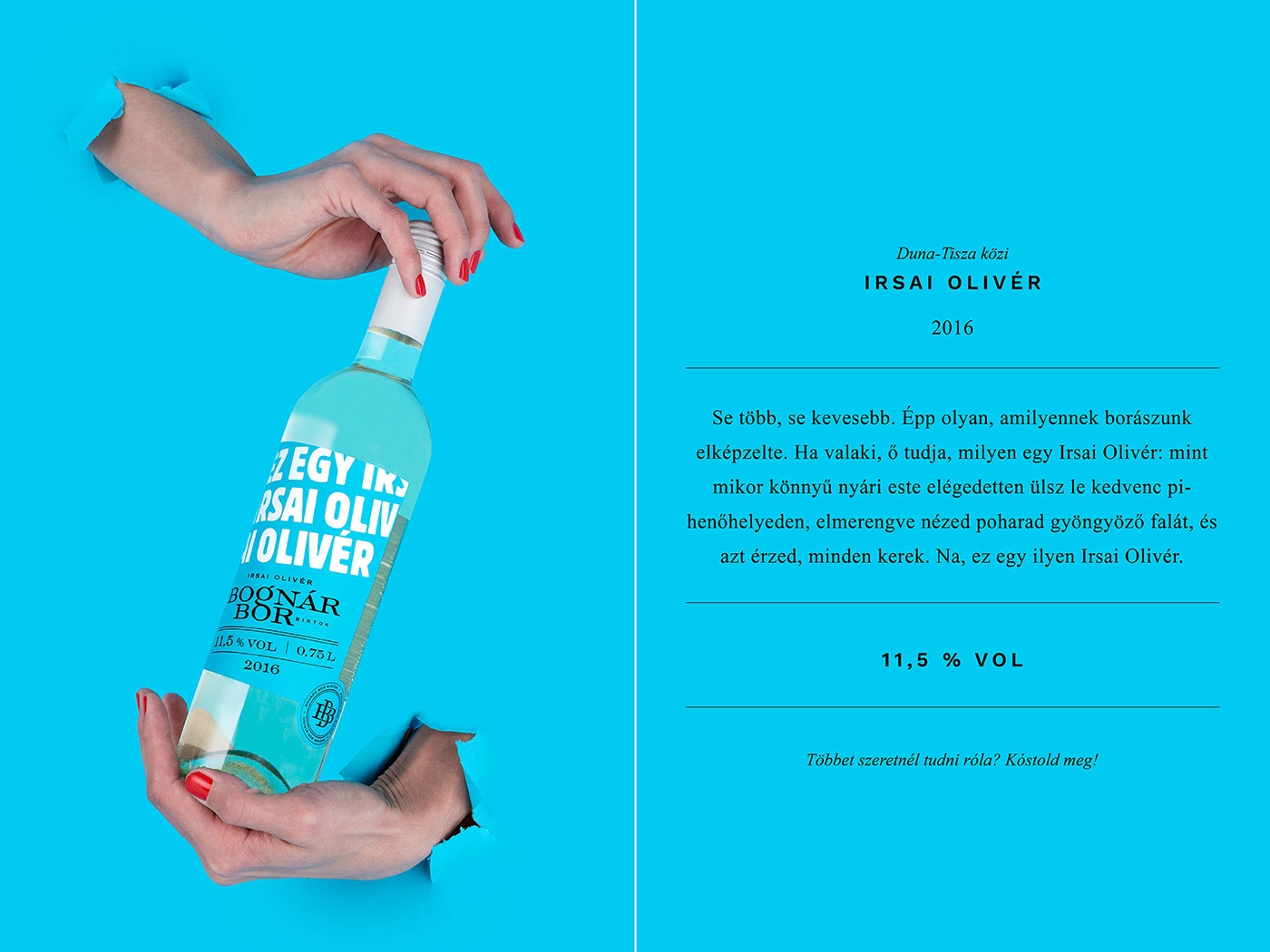 Bognar家族的年輕葡萄酒包裝設(shè)計(jì)，我們只需要更年輕