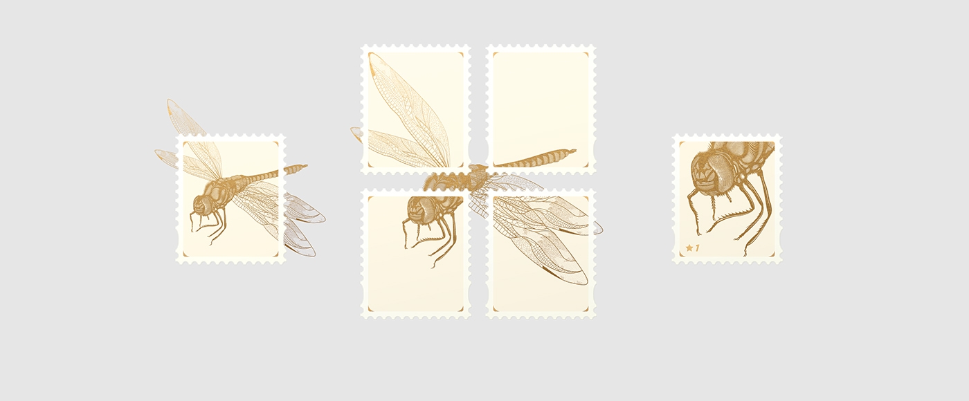 大自然的奇跡，蜻蜓主題的咖啡品牌包裝設(shè)計