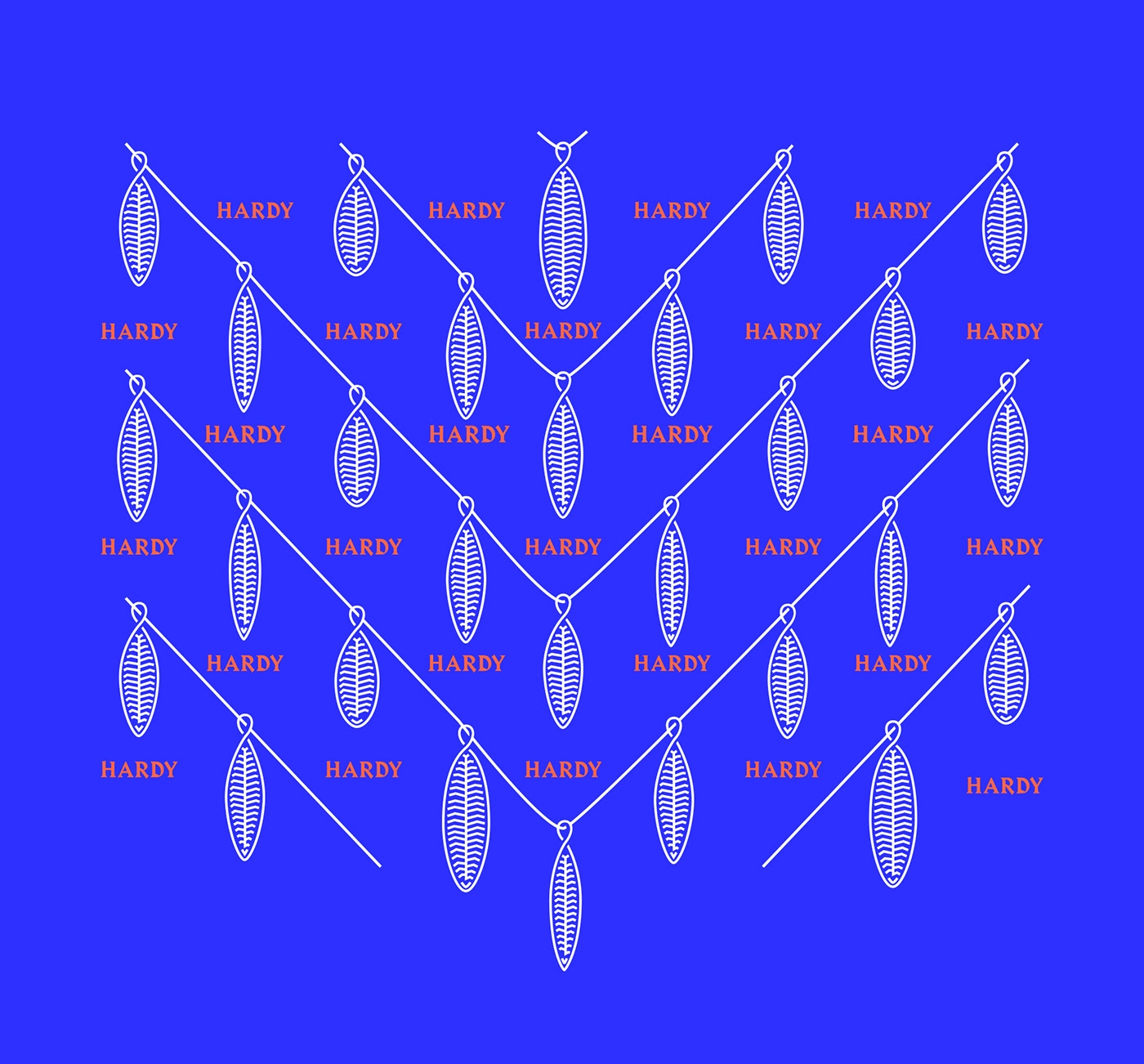 傳統(tǒng)熏鮭魚包裝設計