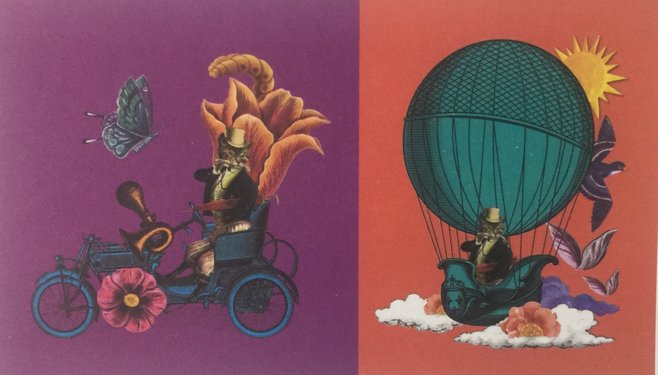 一則諺語引發的松露巧克力食品包裝設計