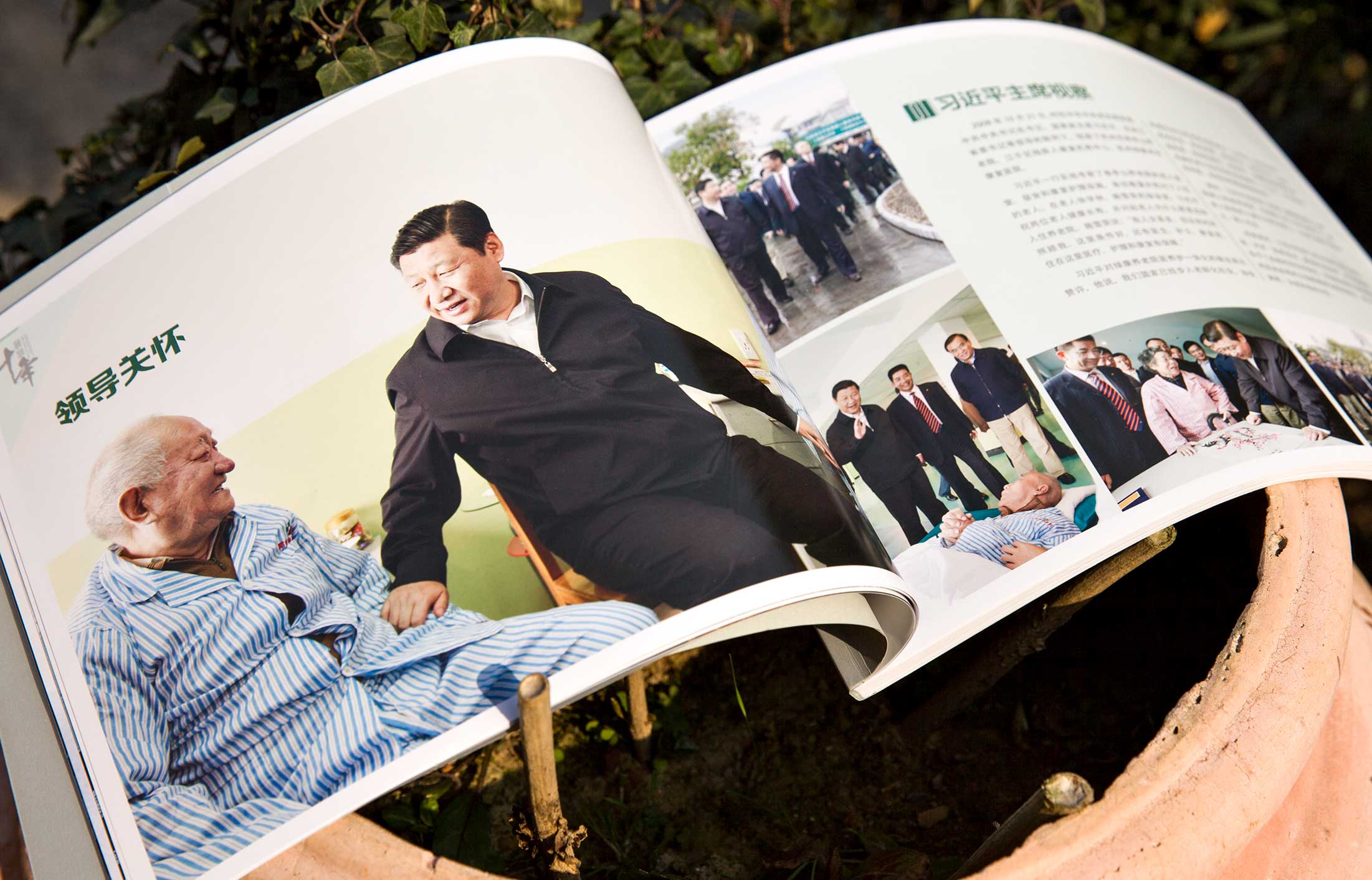 綠康醫(yī)養(yǎng)集團(tuán)畫冊(cè)