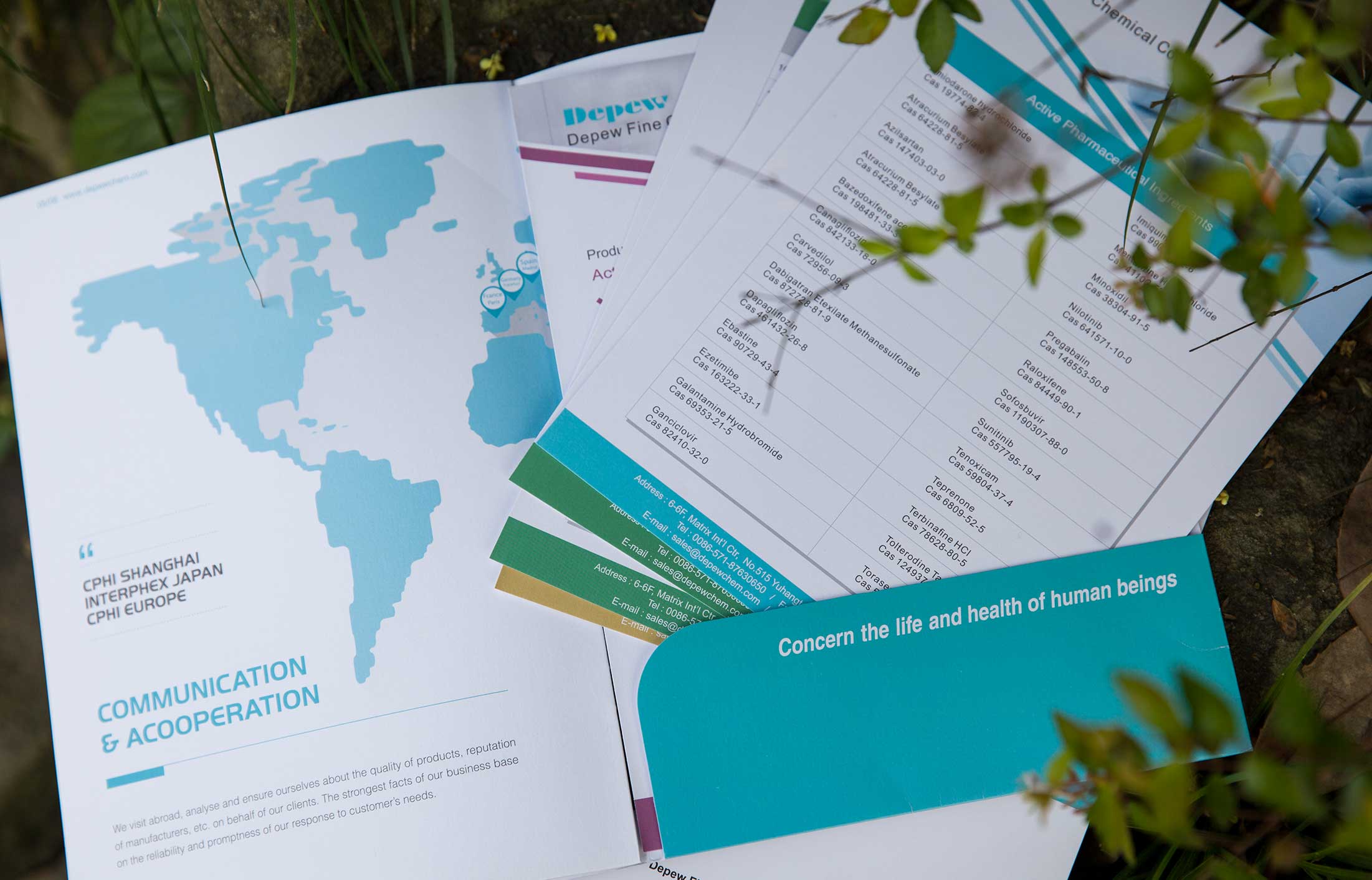 德普精細(xì)化工宣傳冊(cè)