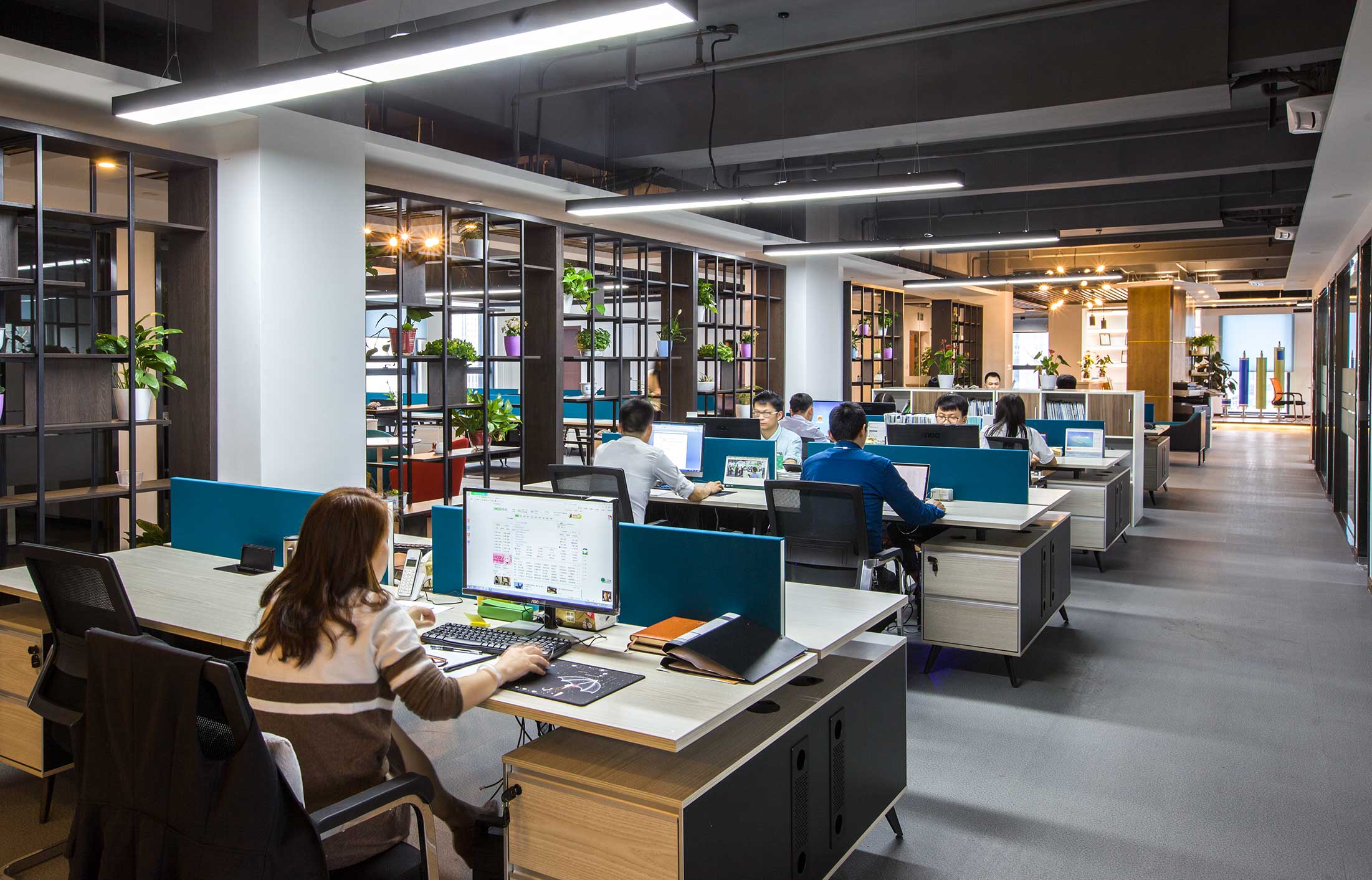 碟濾膜品牌全案設(shè)計(jì)